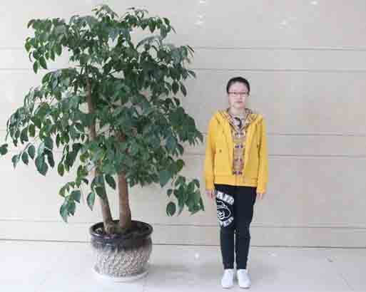 李雪瑤成績